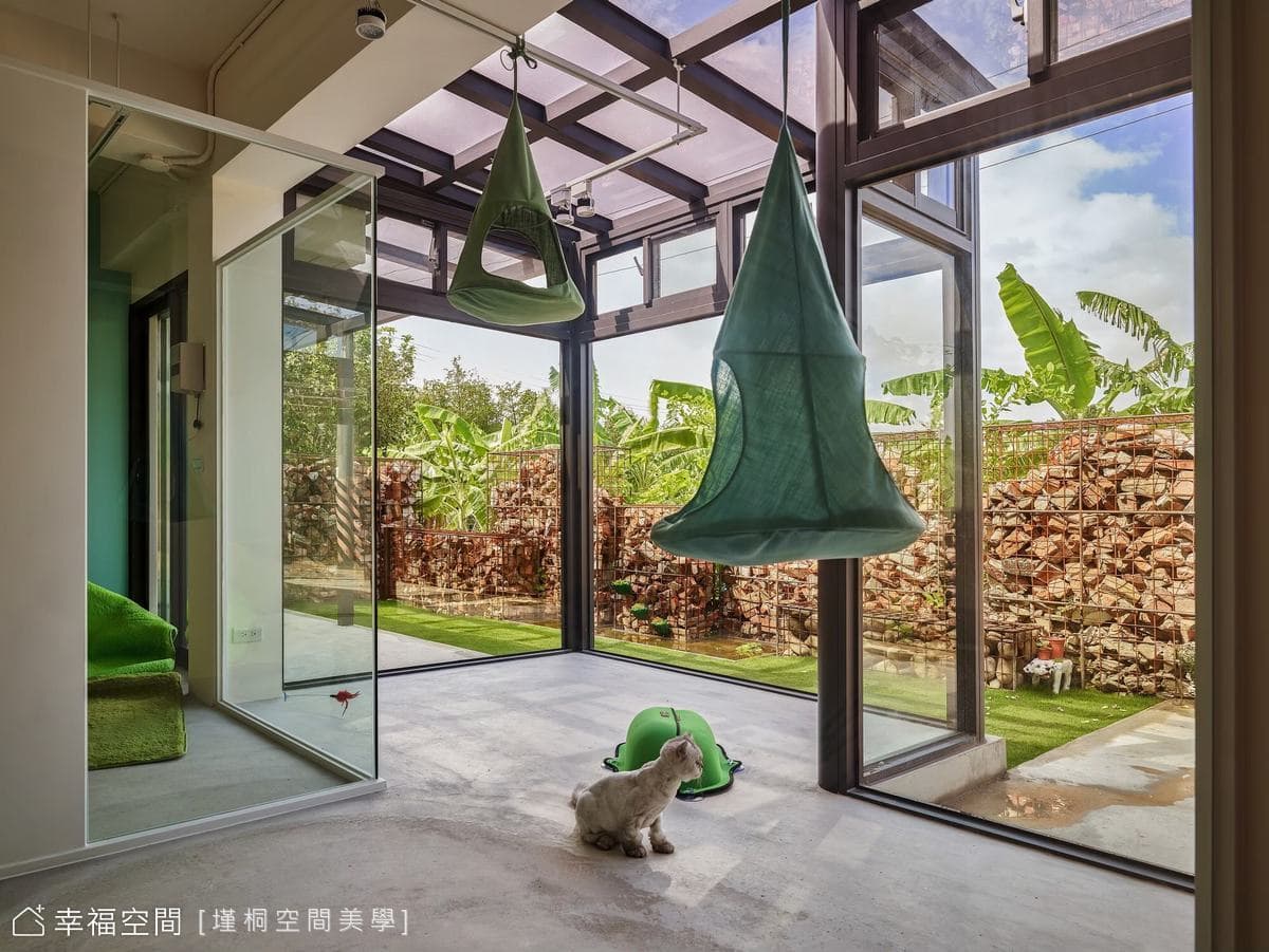 Pet Treats Studio | 現代工業風 | 42坪