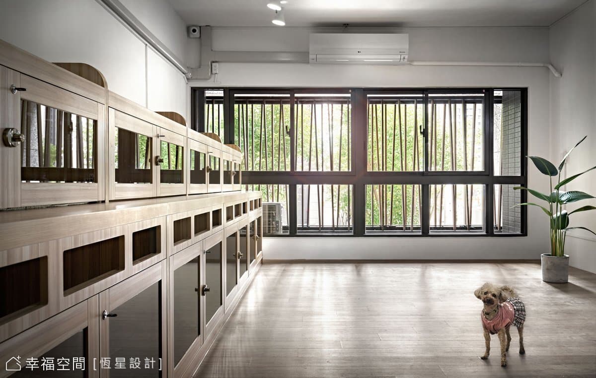 療癒寵物旅館|日式風|30坪