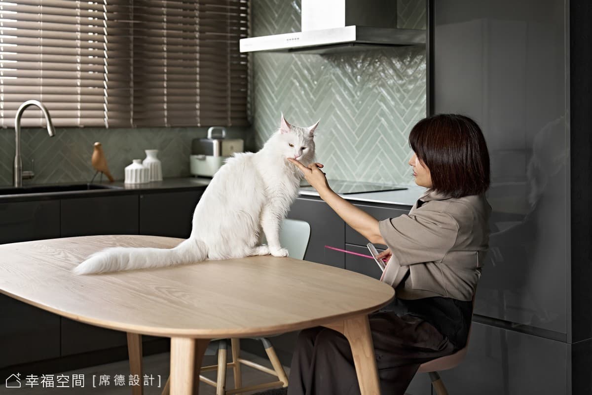 現代風親子貓宅 凝縮一方靜好時光│29坪