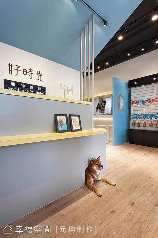 寵物的童話世界