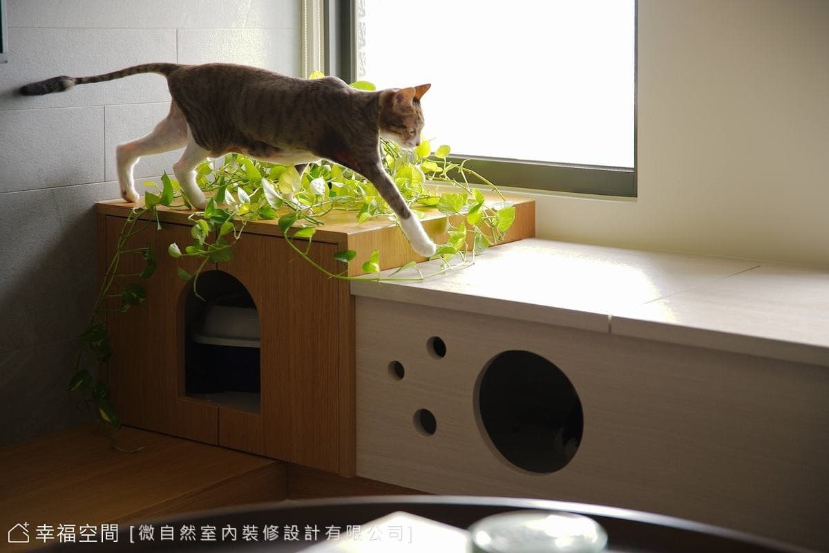 寵物與小孩的療癒居家