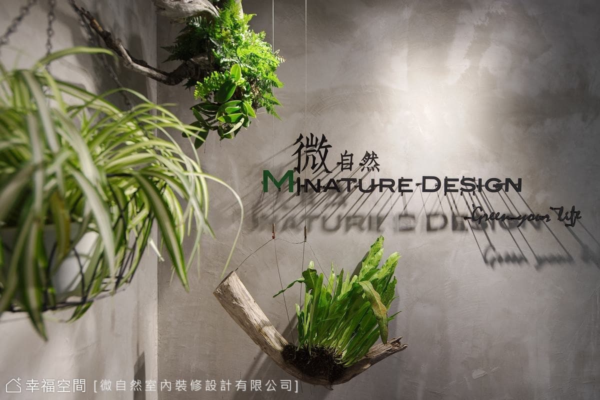 以植物為主角的森林系辦公室